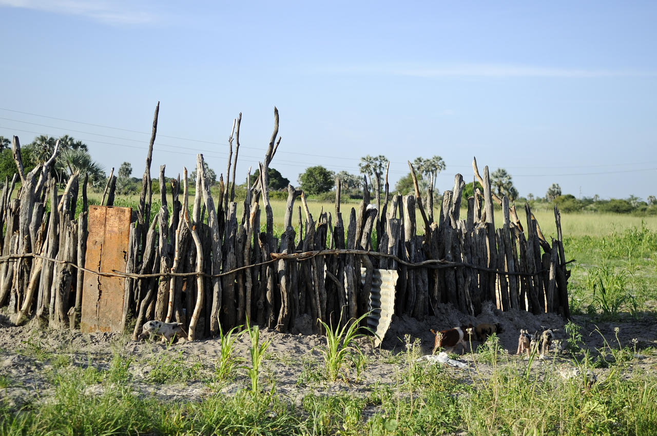 Ongula Village Homestead Lodge Omupumba Екстер'єр фото